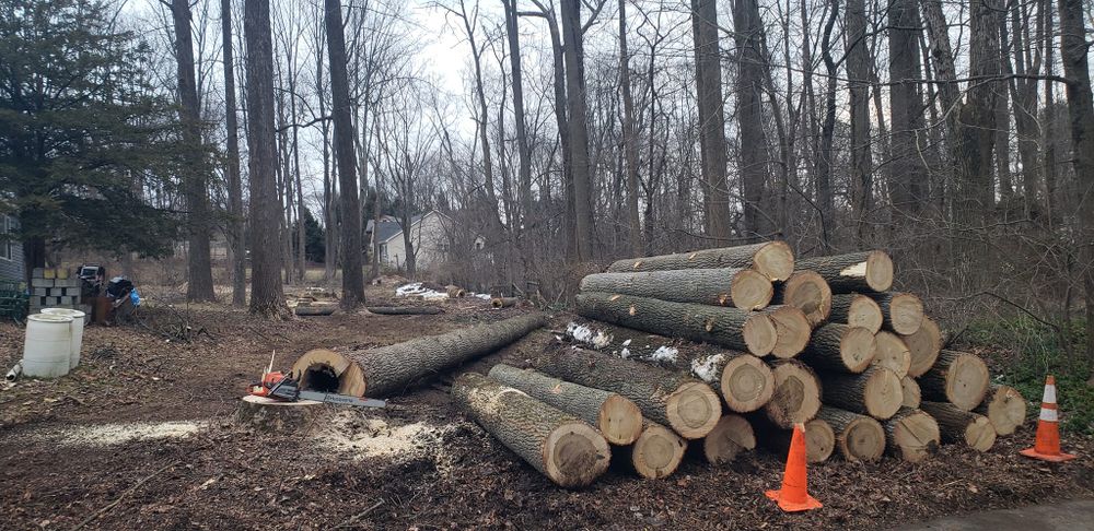 Our fall and spring clean up services transform your outdoor space, removing debris, leaves, and clutter to rejuvenate your landscape for a fresh seasonal start. Perfect for maintaining year-round curb appeal. for Freedom Outdoor Services in Glen Mills, PA