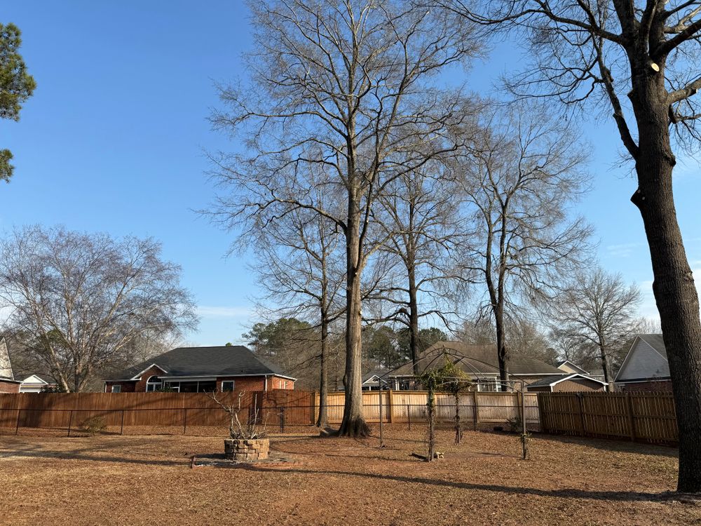 All Photos for T N L - Tree and Land Service in Reynolds, GA