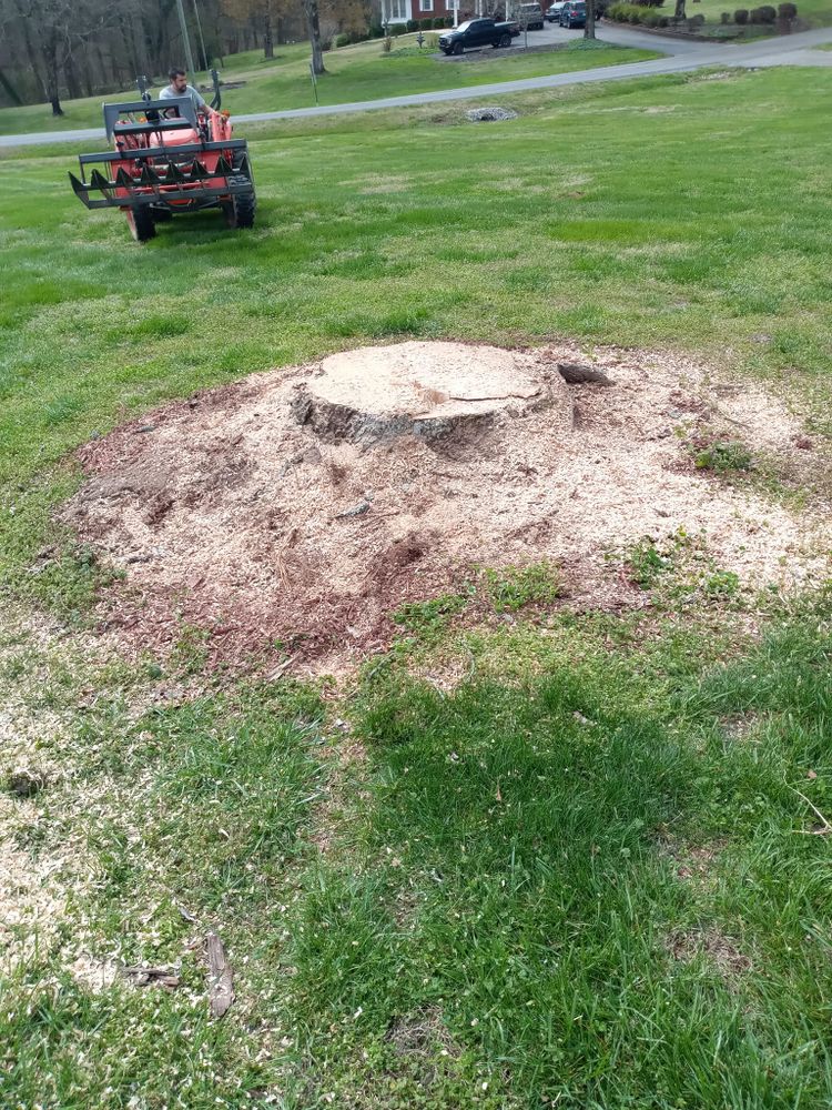 Lawn Care for KWL Lawn Care in Etowah, TN
