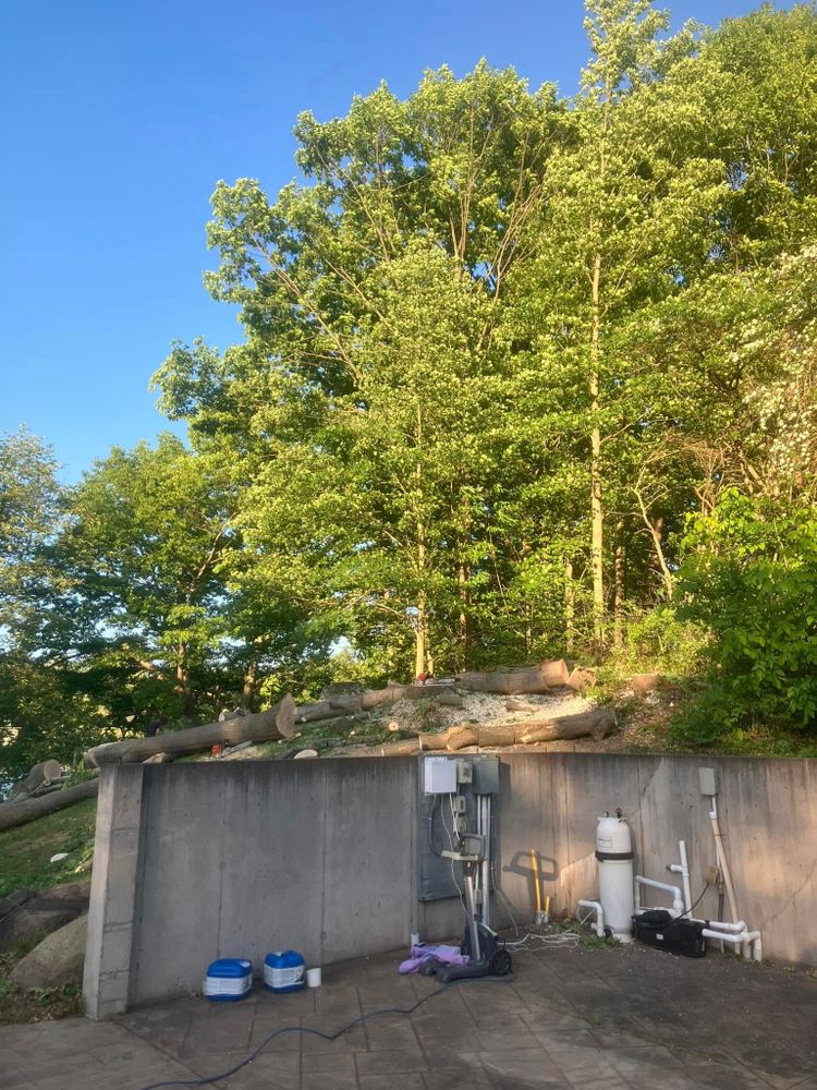 All Photos for Lovenguth Logging and Tree Service in West Monroe, NY