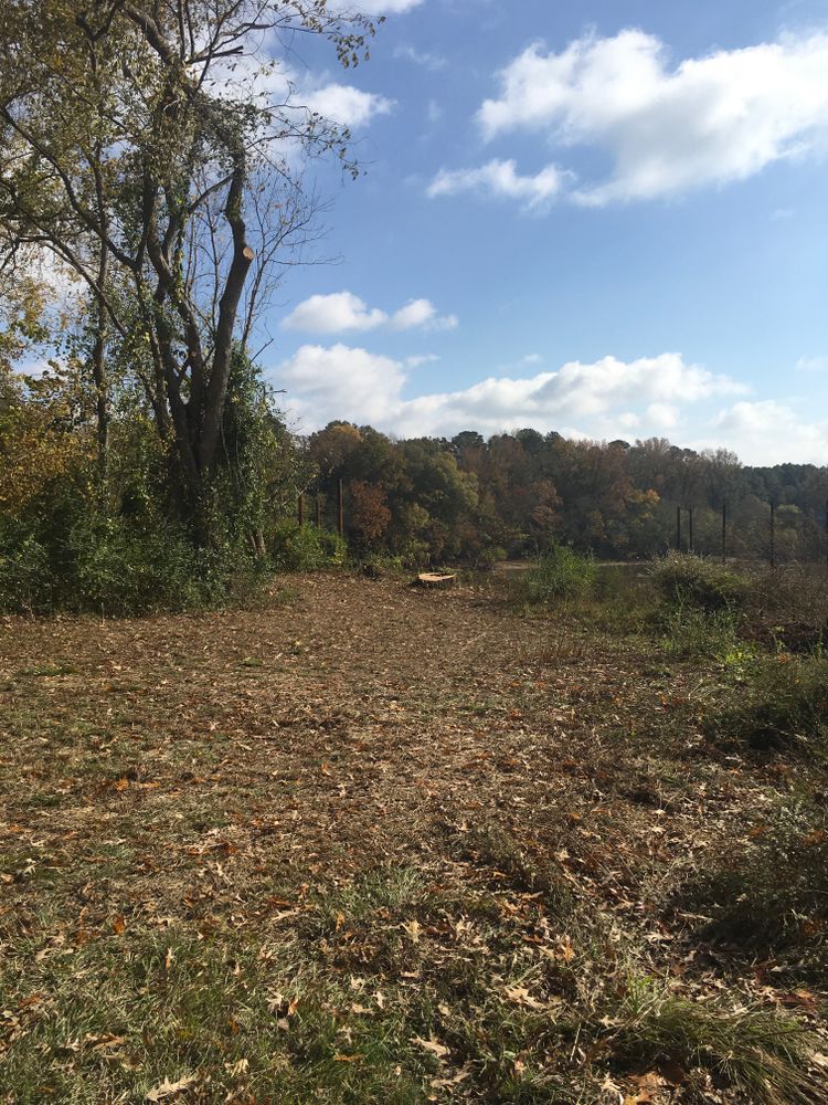 All Photos for Tucker's Tree Service and Stump Grinding in Lugoff, SC