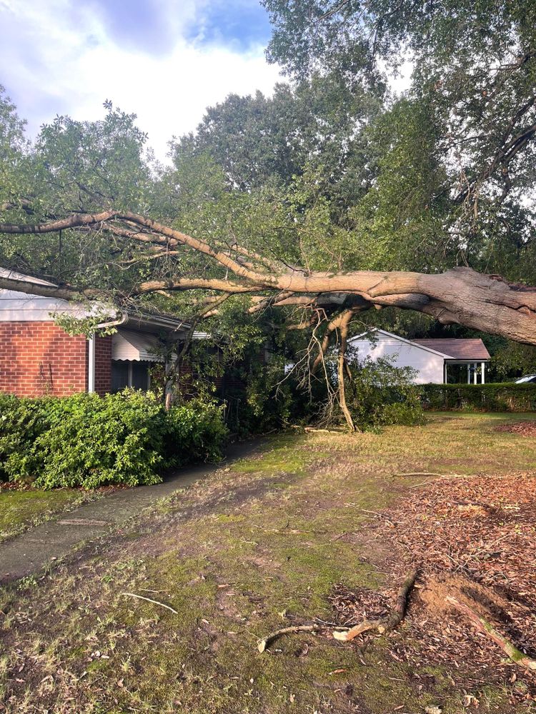 All Photos for J&J Tree Services in Raleigh, NC