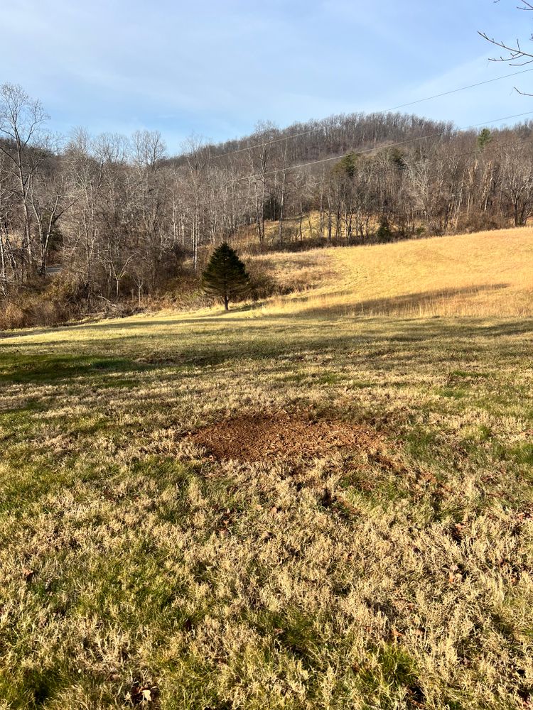 All Photos for Valencia’s Lawncare in Charlottesville, VA