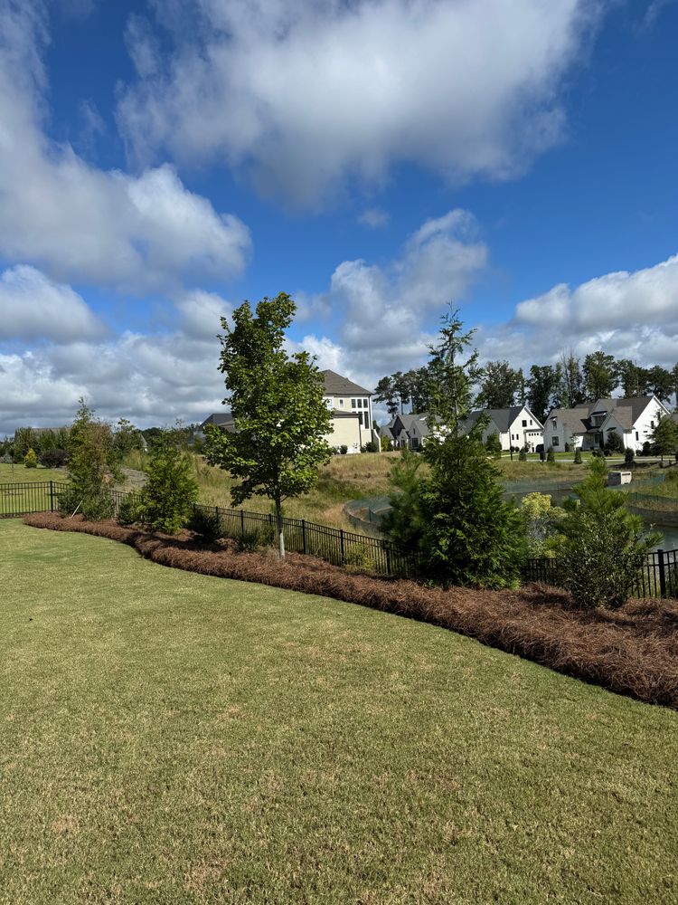 All Photos for Chavez Landscaping in Pittsboro, NC