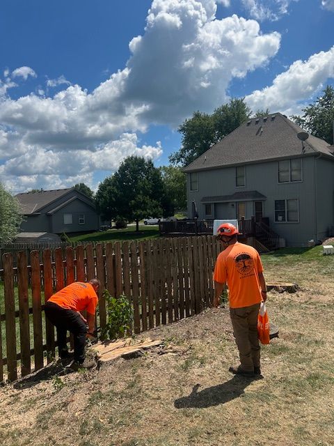 All Photos for Cross Family Tree Service in Kearney, MO