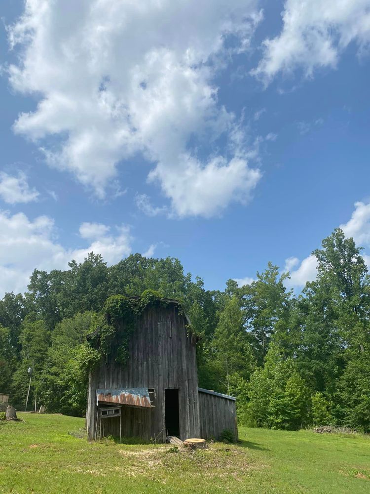 Tree Removal for Ascending Tree Service LLC in Kenbridge, VA