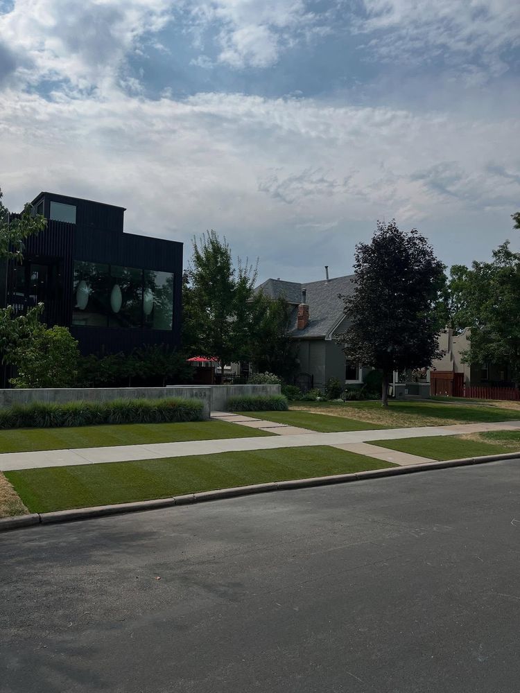 All Photos for Parga Development & Maintenance Services  in Thornton, CO