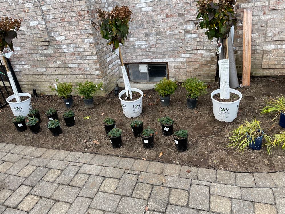 All Photos for Adams Landscaping in Springfield, MA