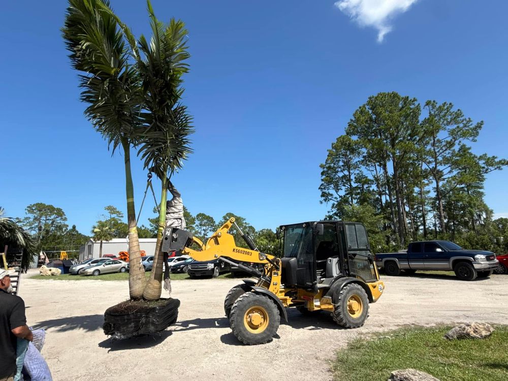 All Photos for Cunningham's Lawn & Landscaping LLC in Daytona Beach, Florida