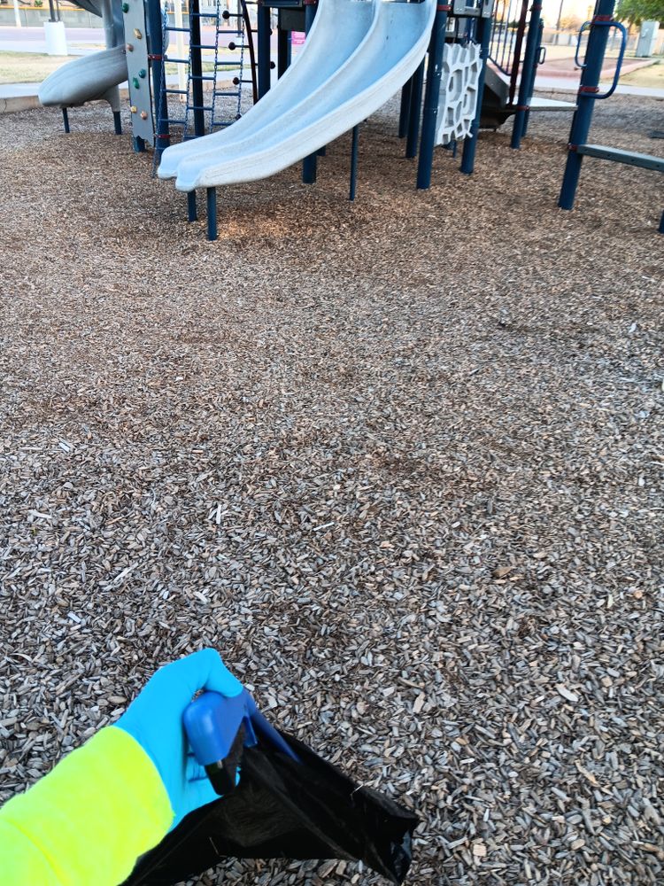 All Photos for Family Landscaping in Phoenix, AZ