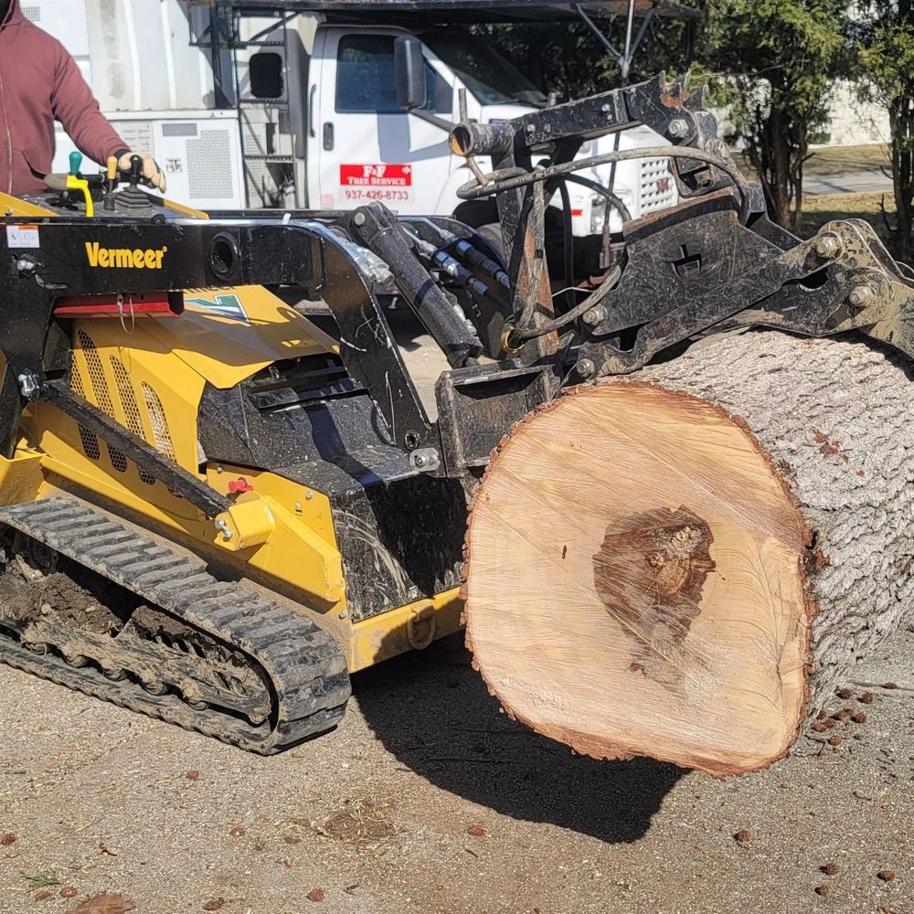 Tree Trimming and Removal for F & F Tree Service in Beavercreek, OH