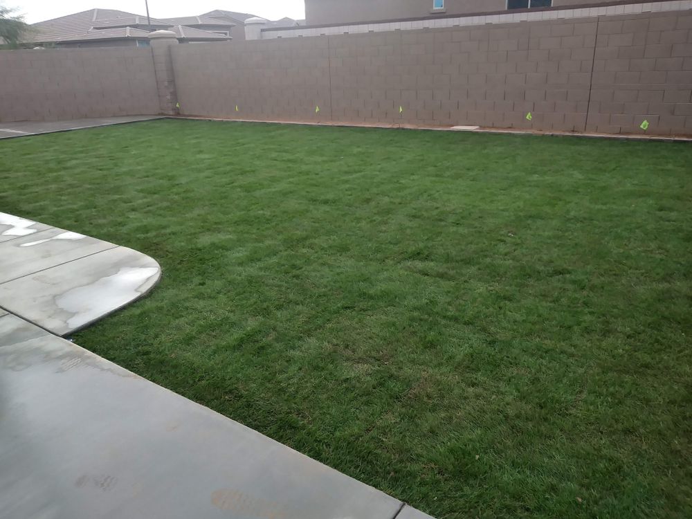 Irrigation  for Sharp Image LLC Landscaping & Hardscape in Phoenix, AZ