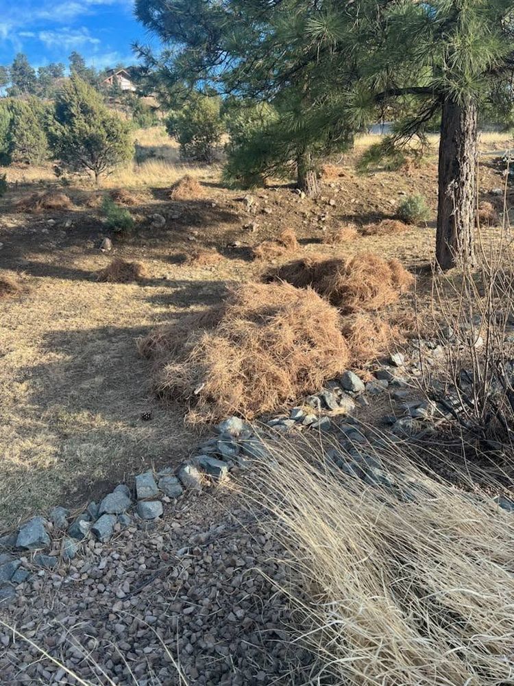 All Photos for G&B Yard Service in Ruidoso Downs, NM