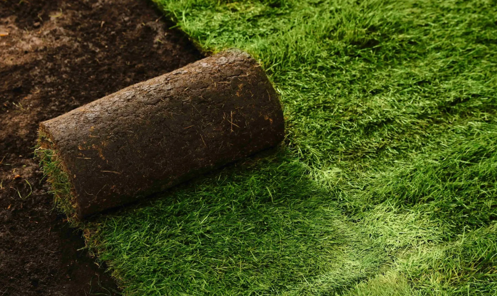 Our sod installation service quickly transforms your lawn with lush, green grass. Our experts ensure precise placement and careful selection for a vibrant, healthy yard that enhances your home's curb appeal. for Aster Landscaping in Temecula, CA