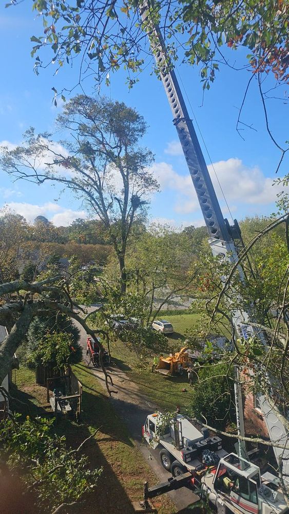 Tree Removal for Sasquatch Tree Services LLC in Spartanburg, SC