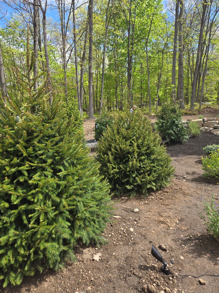 All Photos for Tony Monaco Landscaping Inc. in Orange County, NY