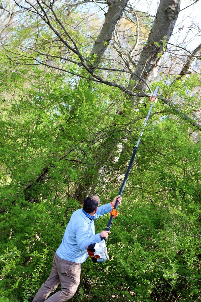 Tree Removal for DNA Tree Service in Birmingham, AL