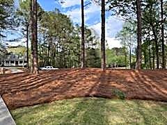 All Photos for Tri-P Services in Athens, GA