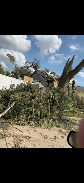 All Photos for Allstate Tree Service and Crane in Spring Lake Park, MN