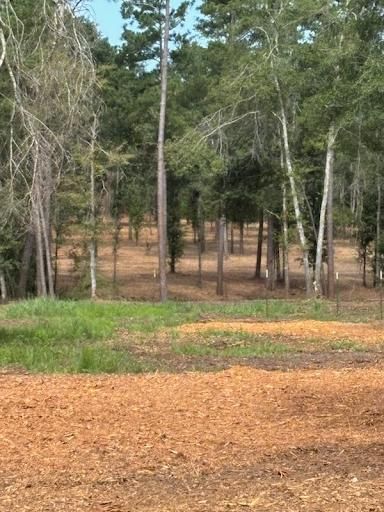 All Photos for JM Services in Woodville, TX