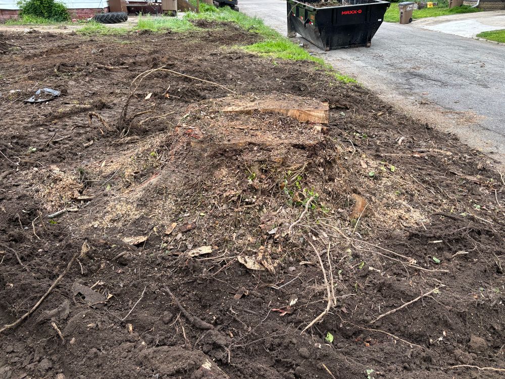 All Photos for Conrad's Stump Removal in Columbus, IN