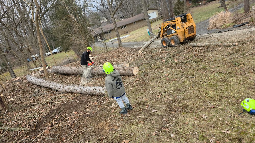 All Photos for D Hale Tree Service in Ann Arbor, MI