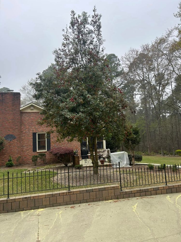 All Photos for Trophy Outdoor Solutions in Lexington, SC