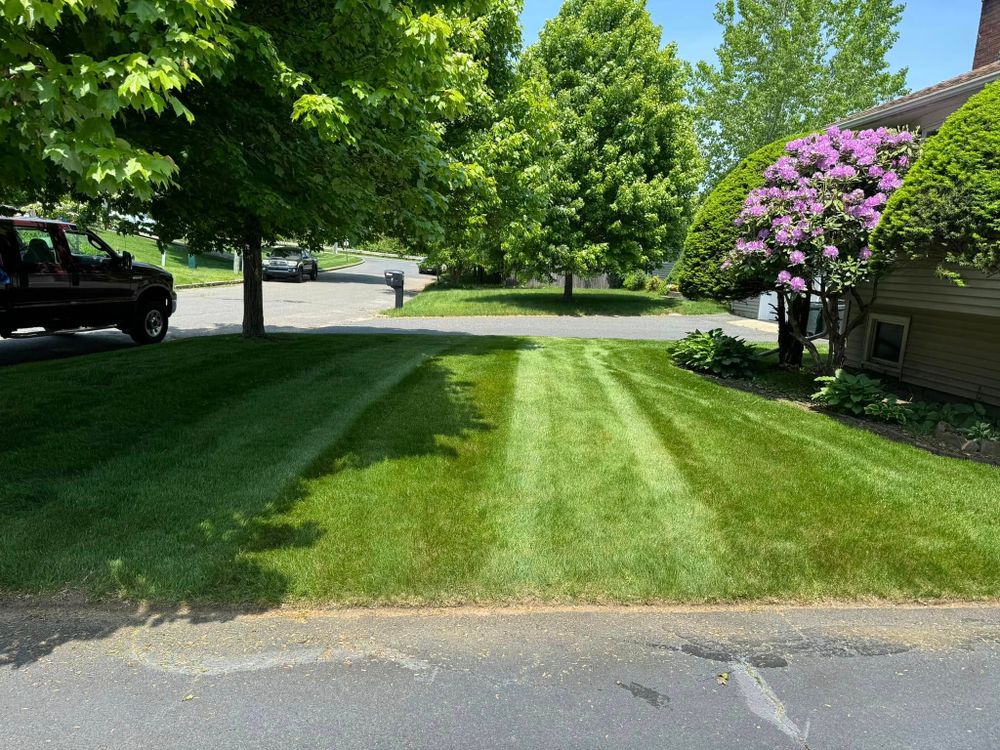 All Photos for Adams Landscaping in Springfield, MA