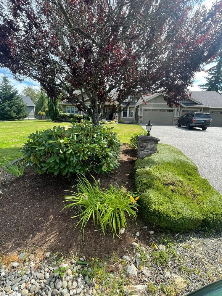 All Photos for B.U Landscaping in Everett, WA