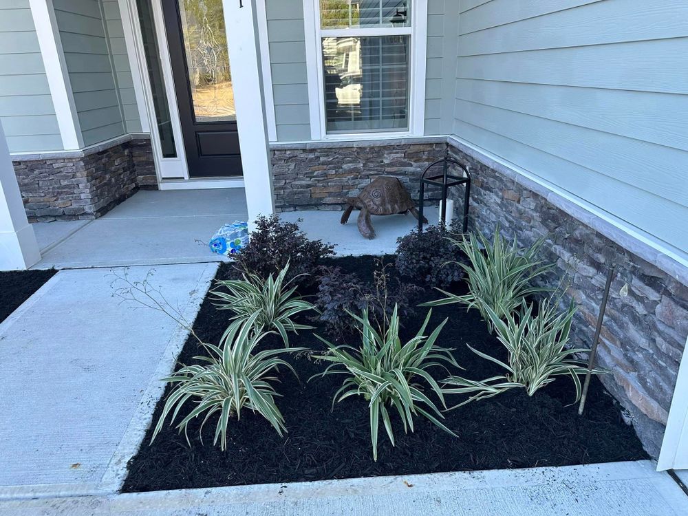 Landscaping for George’s Hardscape  in Bluffton, SC