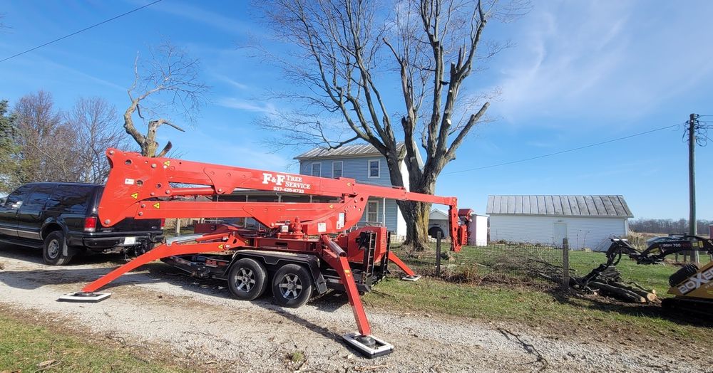 Tree Trimming and Removal for F & F Tree Service in Beavercreek, OH