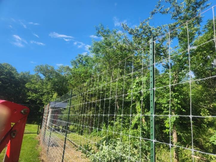 All Photos for Lawn Ranger Yard And Tree Service LLC in Ottumwa, IA