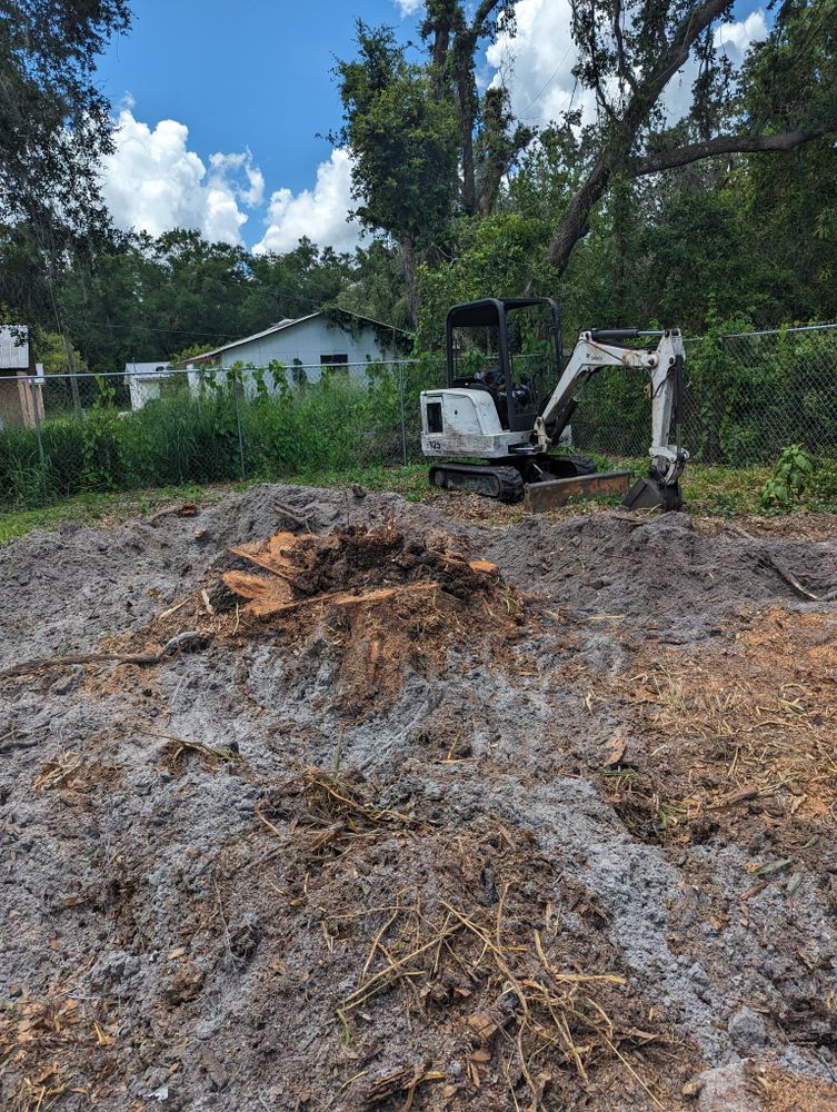 All Photos for Regal Tree Service and Stump Grinding in Wauchula, FL