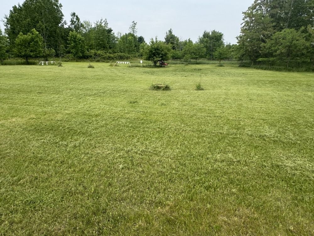 Landscaping Lawn Care for Daugherty's Tough Lawn Care in Essexville, MI