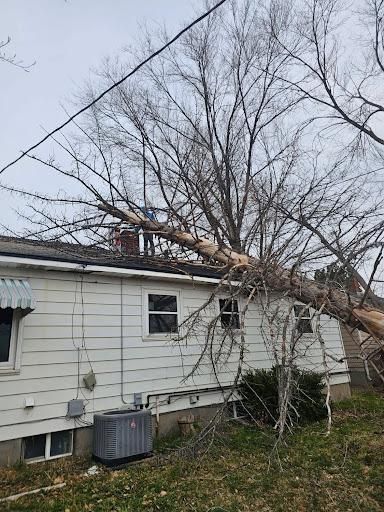 Tree Removal for Portneuf Valley Tree Service in Pocatello, ID