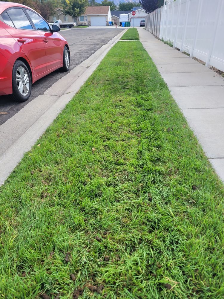 Revitalize your lawn with our expert aeration service, enhancing root growth and nutrient absorption. Available anytime through our 24/many handyman team for a lush, healthy lawn all year round. for Silver Service Pros in Riverton, UT