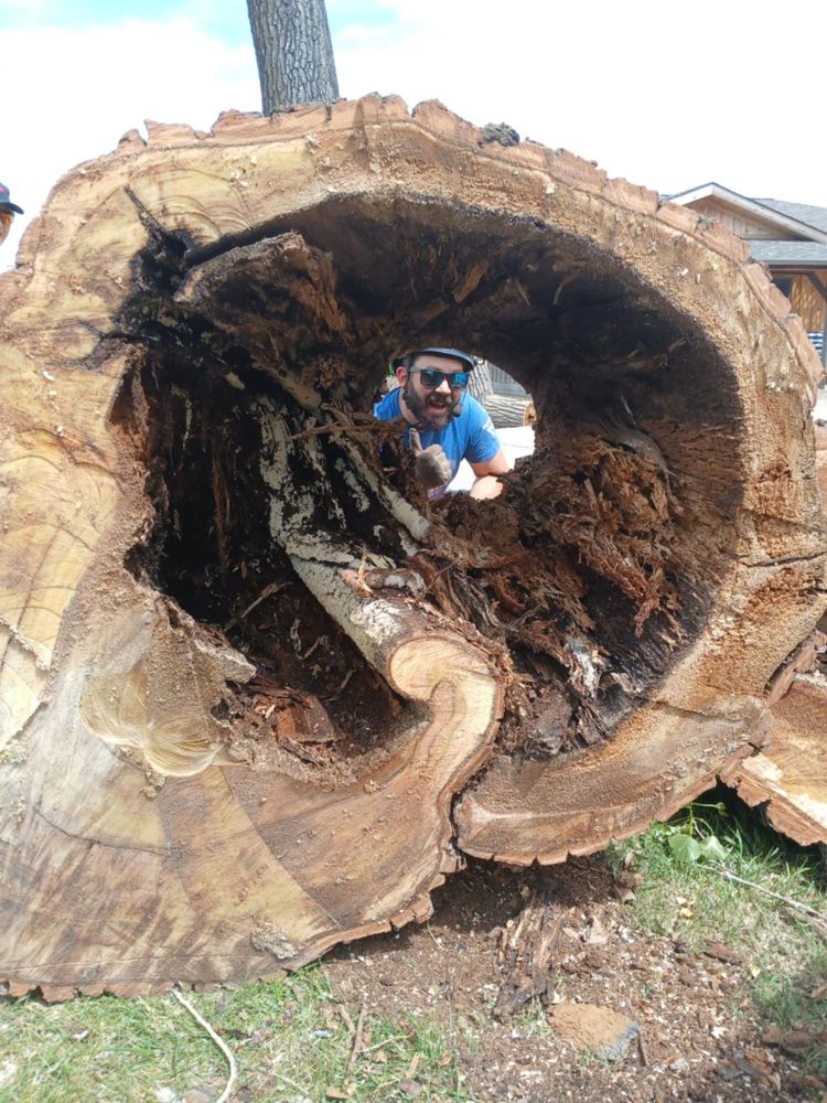 All Photos for Two Fellers Tree Service in Buffalo, WY