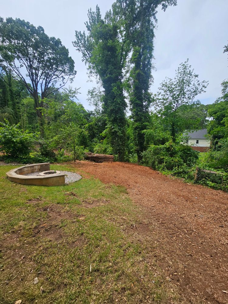 All Photos for Sasquatch Tree Services LLC in Spartanburg, SC