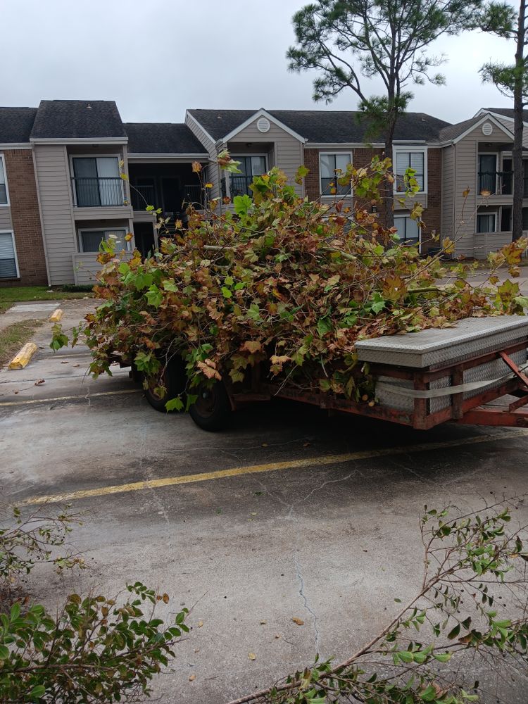All Photos for G&S Tree Service in Houston, TX
