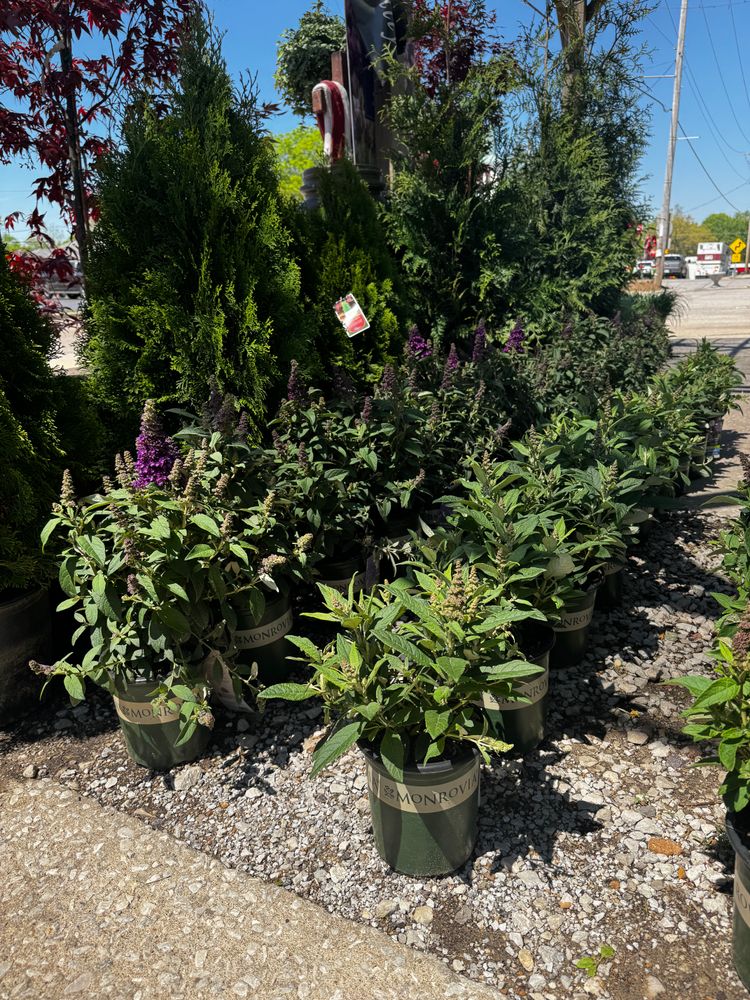All Photos for Mayfield Landscaping in Staunton, IL