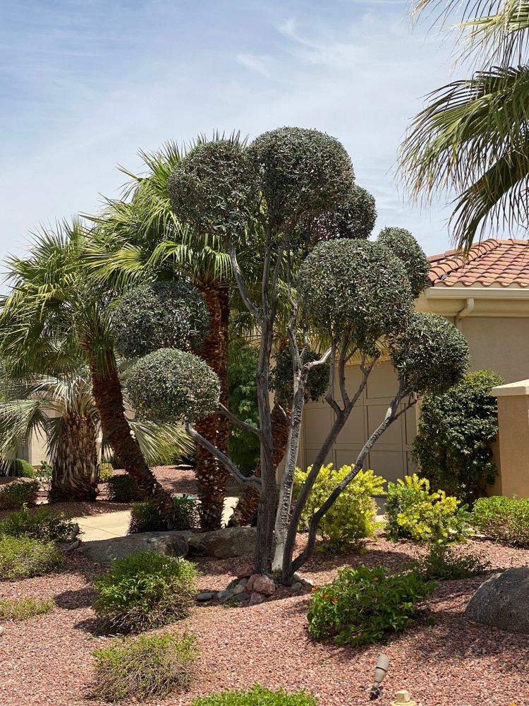 Hardscaping Landscaping for Ramirez Landscaping in El Mirage, AZ