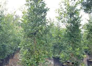 All Photos for Cunningham's Lawn & Landscaping LLC in Daytona Beach, Florida