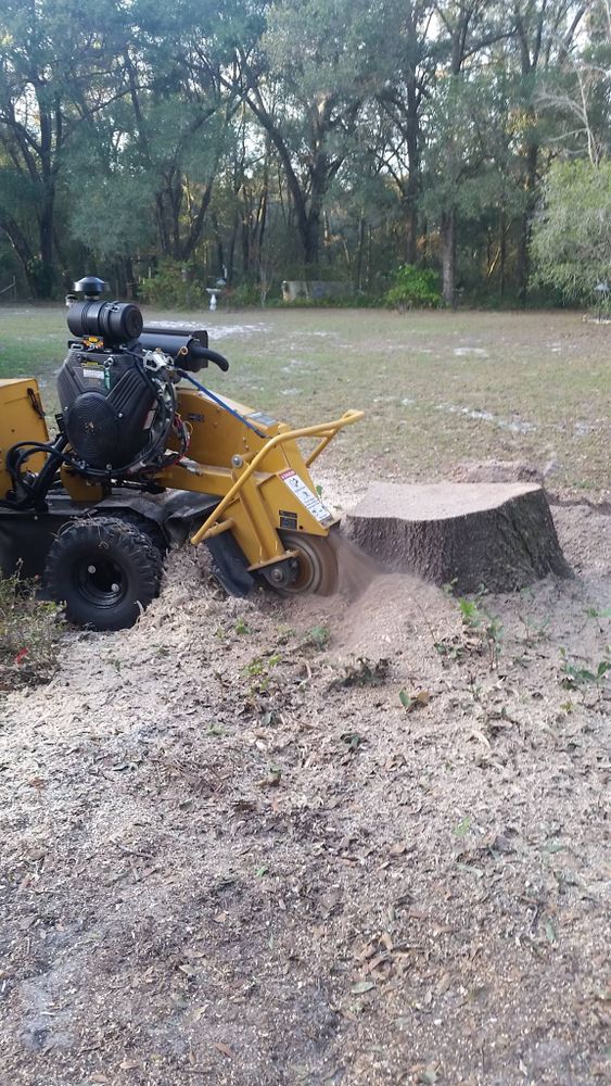 Tree Removal for Daniel Hickey’s Tree Service in DeLand, FL