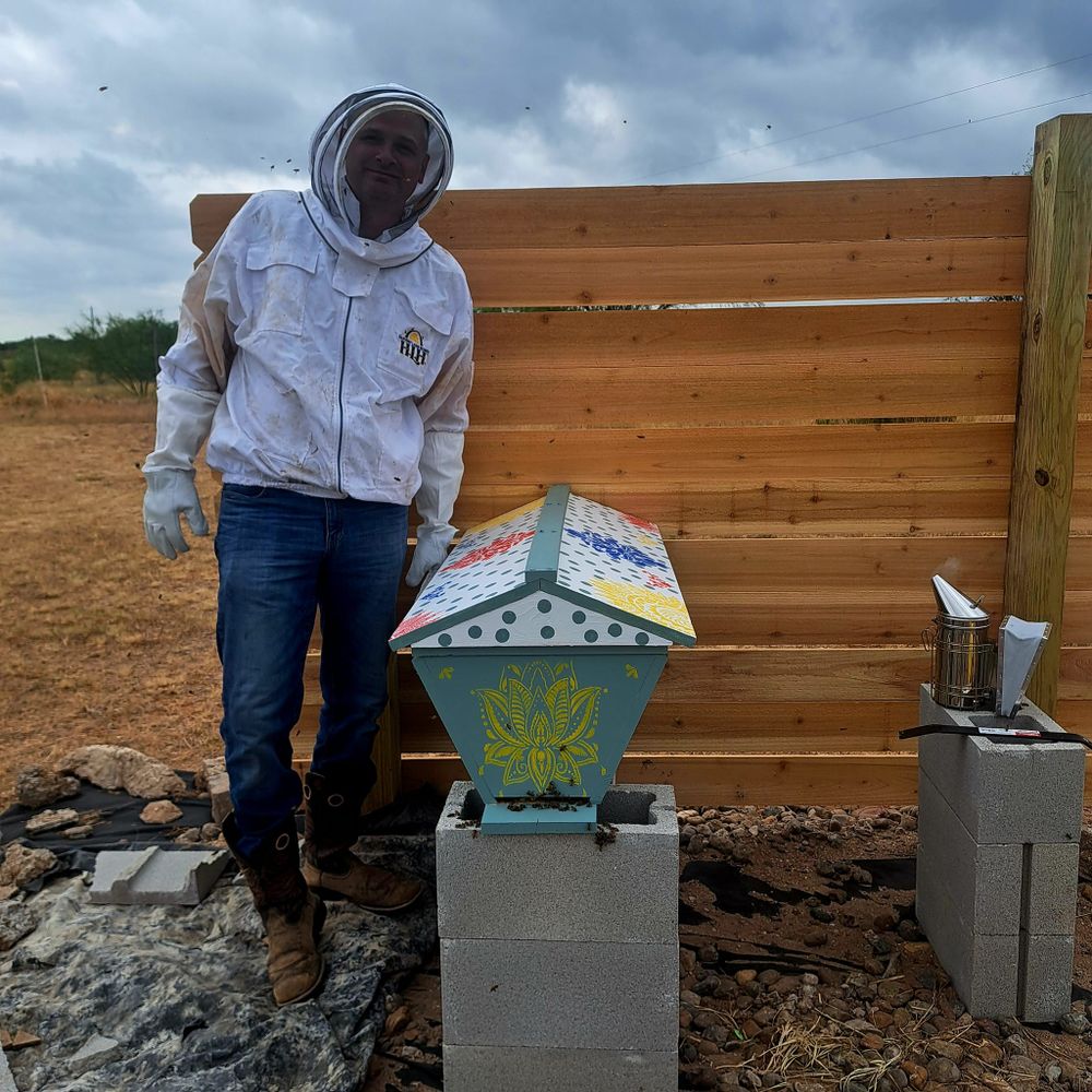 Structural bee removal project