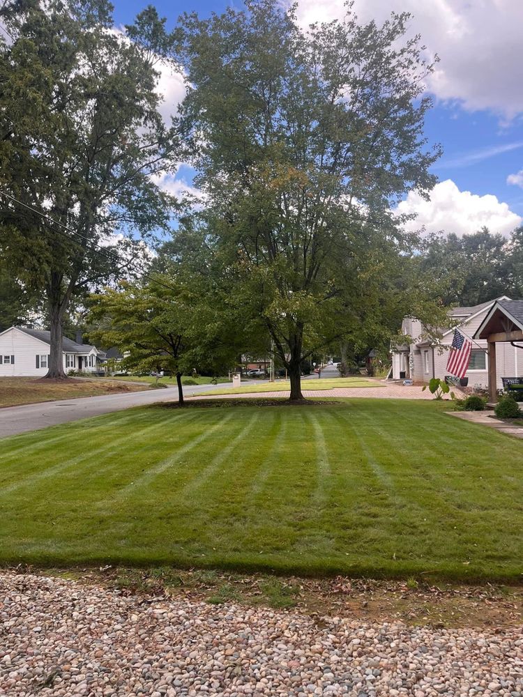 All Photos for VL Landscaping, LLC in Cartersville, GA