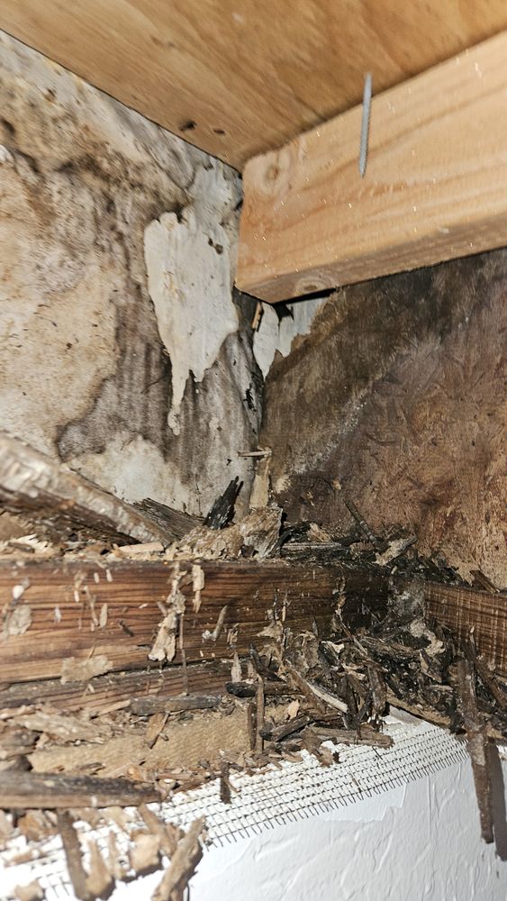 All Photos for Napa Valley Preventative Maintenance in Calistoga, CA