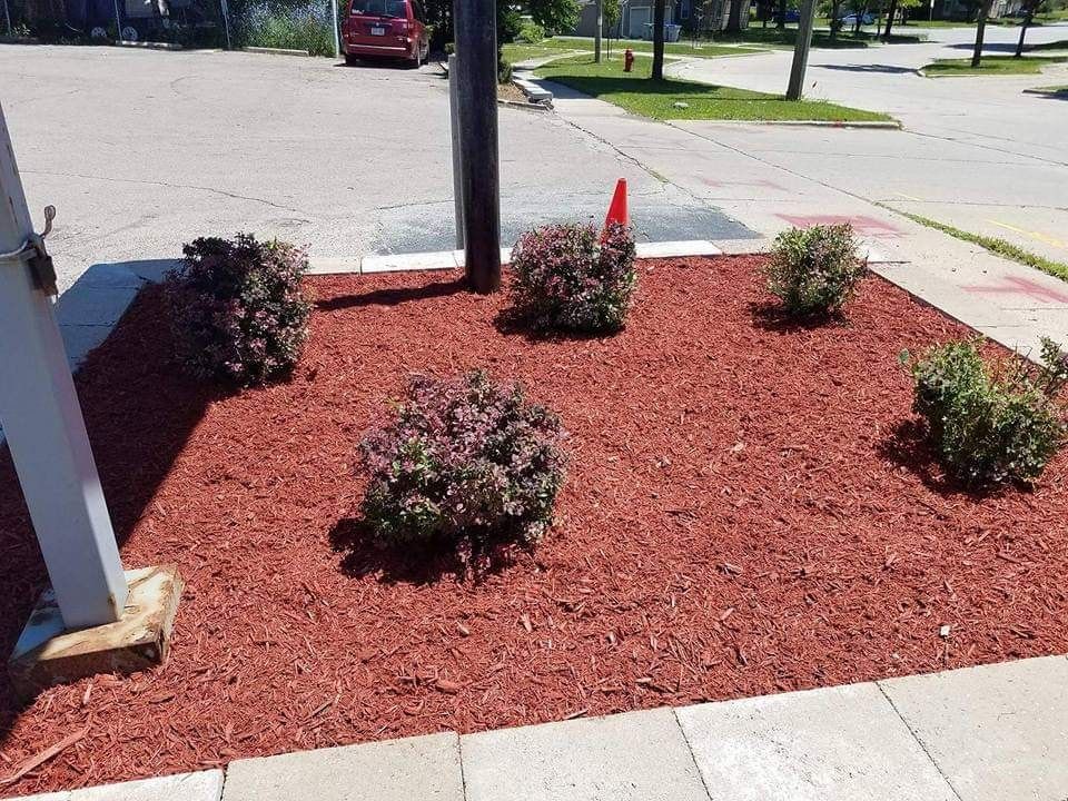 Landscaping for Malagon & Company LLC in Milwaukee, WI