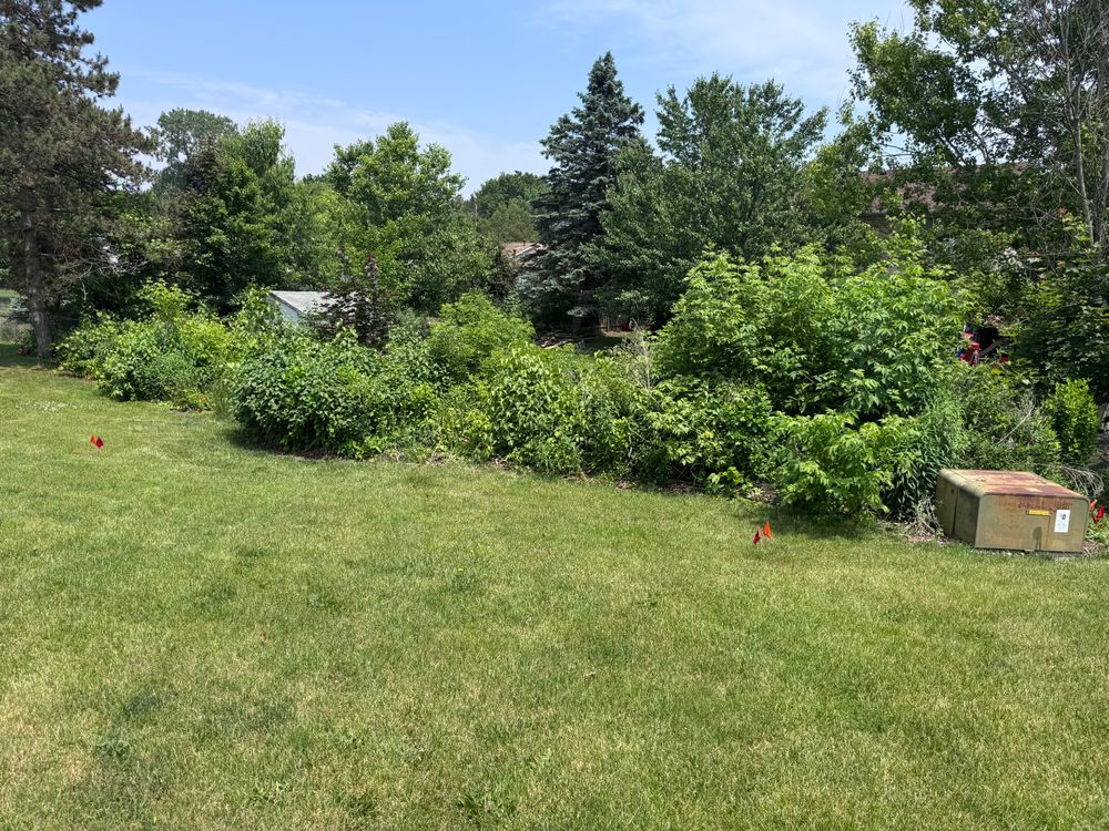 All Photos for Steed's Lawn and Landscape LLC in White Lake, MI