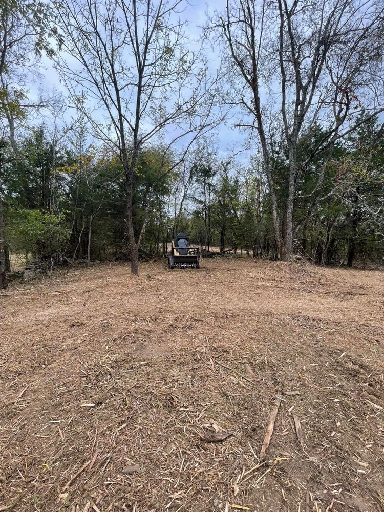 Land Clearing for TriStar Land Clearing & Mulching in Murfreesboro, TN