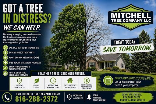 All Photos for Mitchell Tree Company in Lathrop, MO